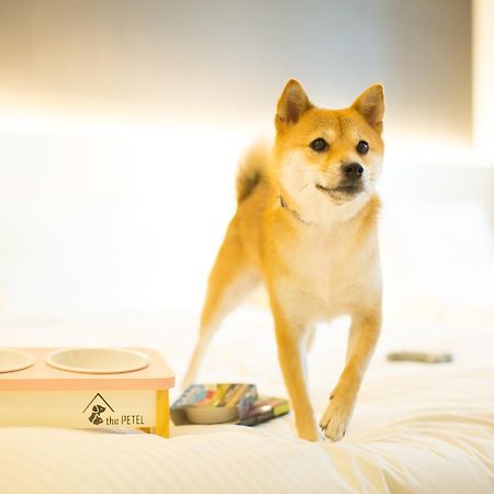 ホテル ザ ペテル プレミアム スイート 釜山広域市 エクステリア 写真