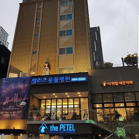ホテル ザ ペテル プレミアム スイート 釜山広域市 エクステリア 写真