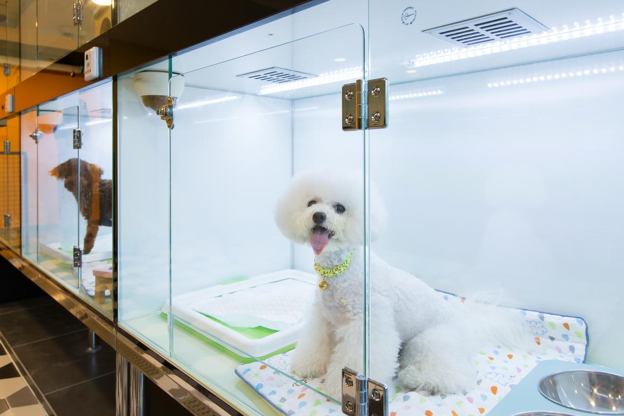 ホテル ザ ペテル プレミアム スイート 釜山広域市 エクステリア 写真